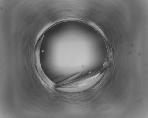 X0000071811101200607141604