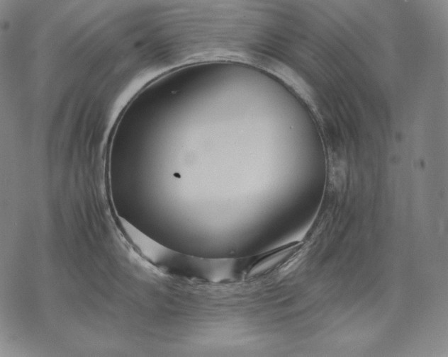 X0000071811102200607141604