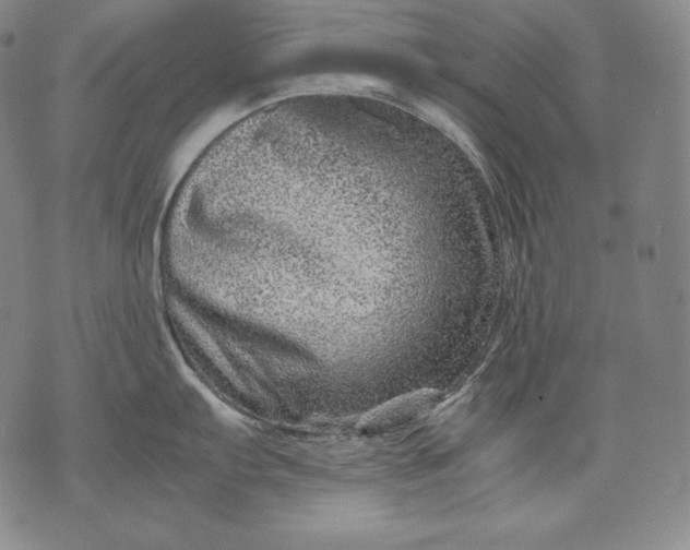 X0000071811103200607141604