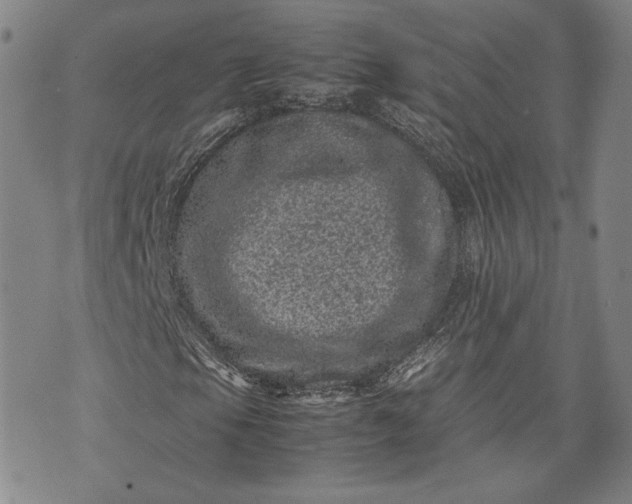 X0000071811105200607141603