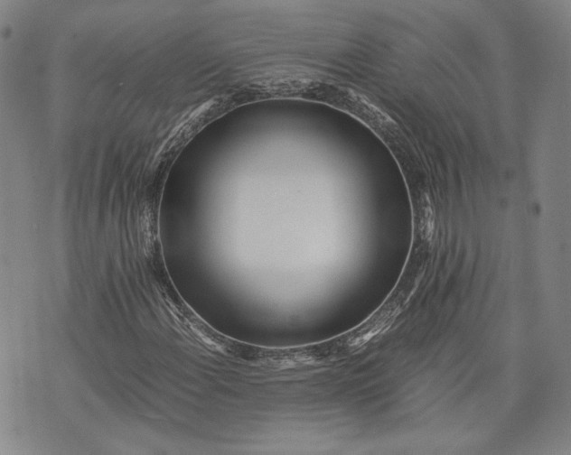 X0000071811108200607141603