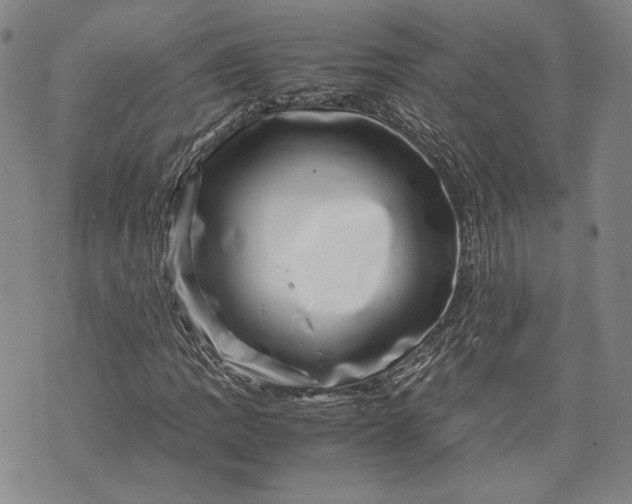 X0000071811109200607141603