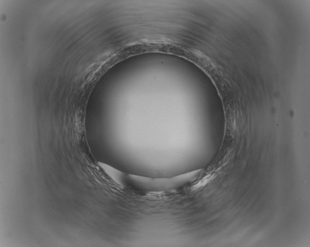 X0000071811110200607141603