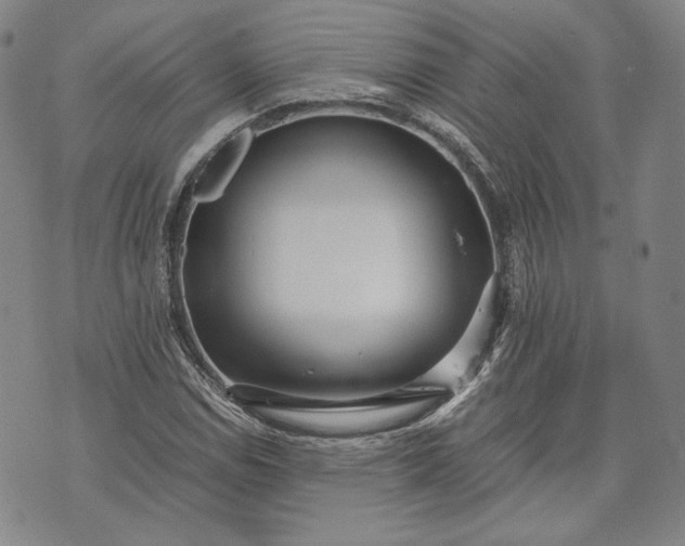 X0000071811114200607141603