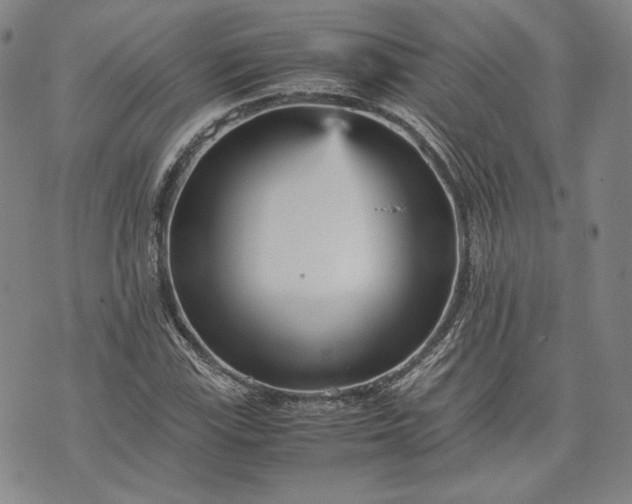 X0000071811115200607141603