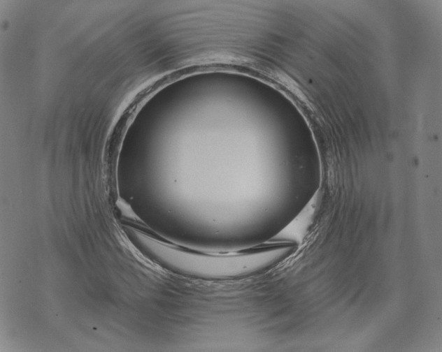 X0000071811116200607141603