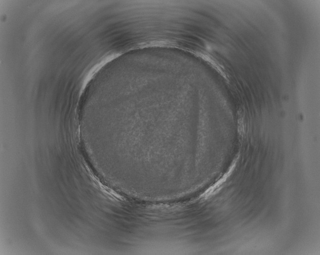 X0000071811117200607141603