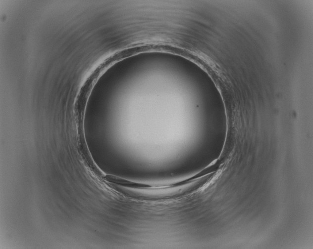 X0000071811118200607141603