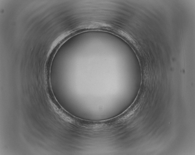 X0000071811122200607141603