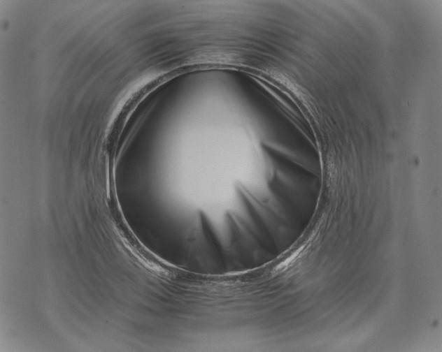 X0000071811123200607141603