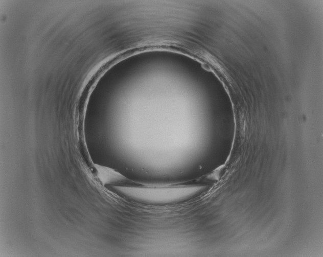 X0000071811124200607141603