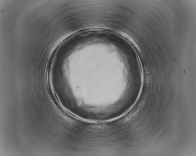 X0000071811125200607141603