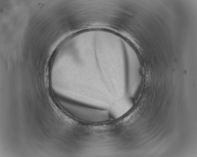 X0000071811126200607141603