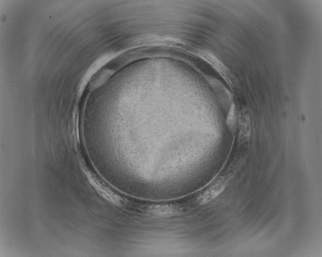 X0000071811128200607141604