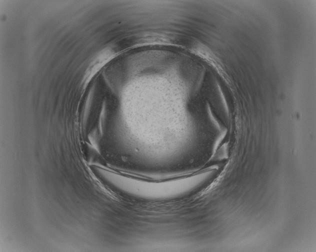 X0000071811129200607141604