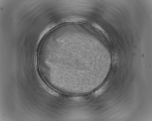 X0000071811130200607141604