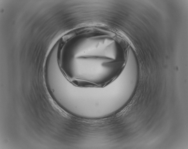 X0000071811132200607141604