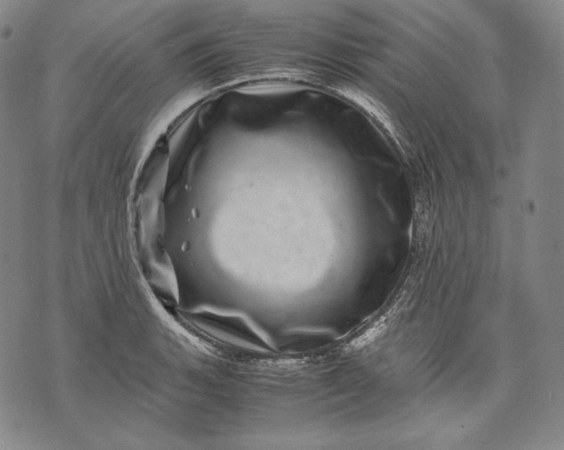 X0000071811135200607141604