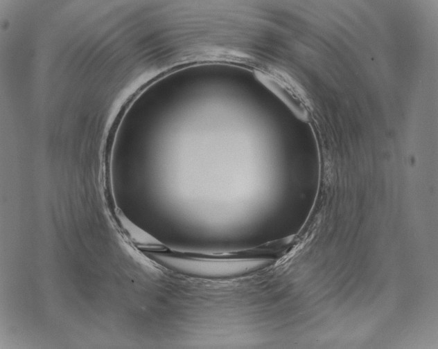 X0000071811136200607141604