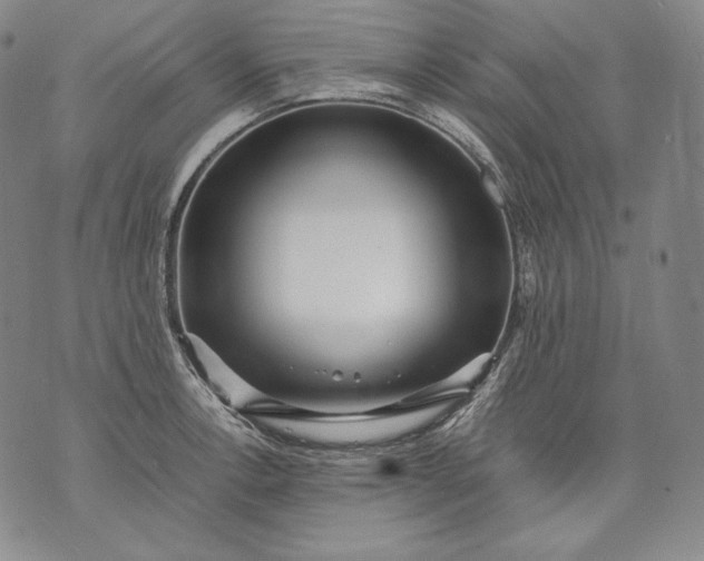 X0000071811138200607141604