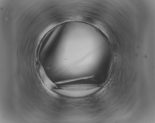 X0000071811143200607141604