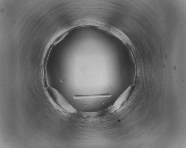 X0000071811144200607141604