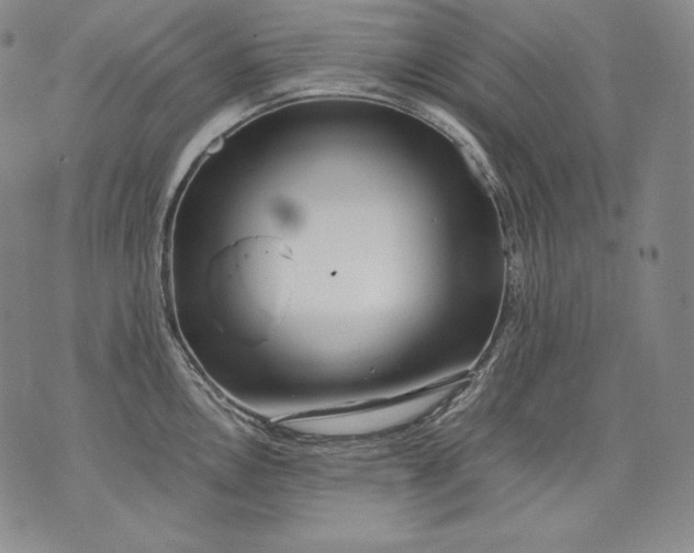 X0000071811146200607141604