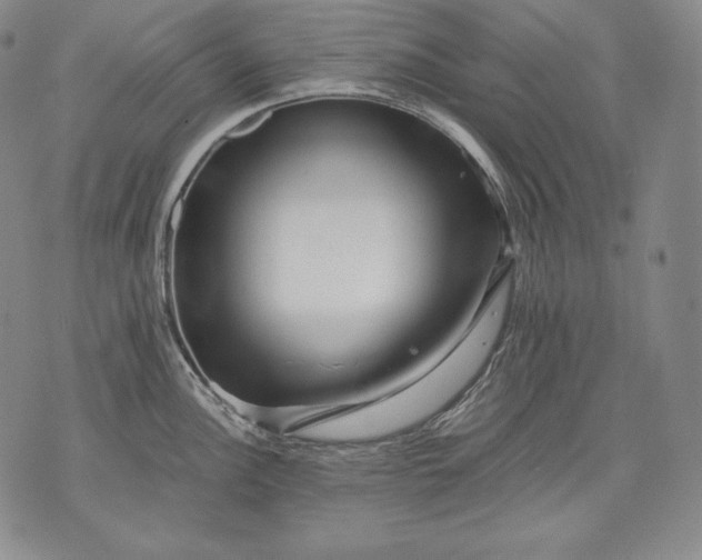 X0000071811148200607141604