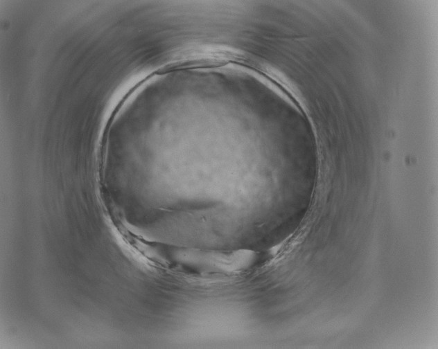 X0000071811152200607141604