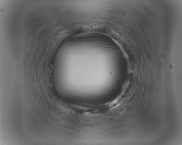 X0000071811153200607141603