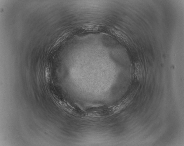 X0000071811154200607141603