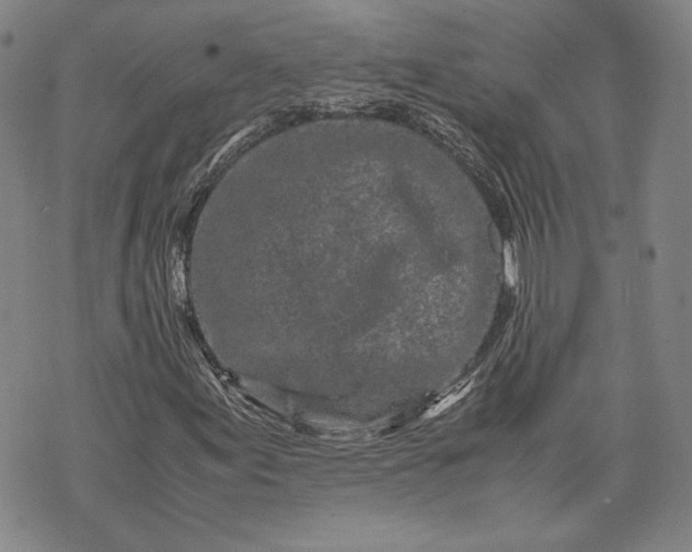 X0000071811155200607141603