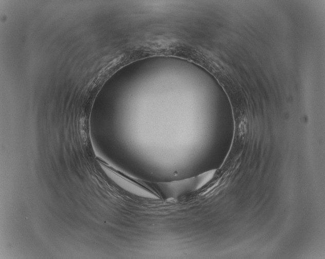 X0000071811156200607141603