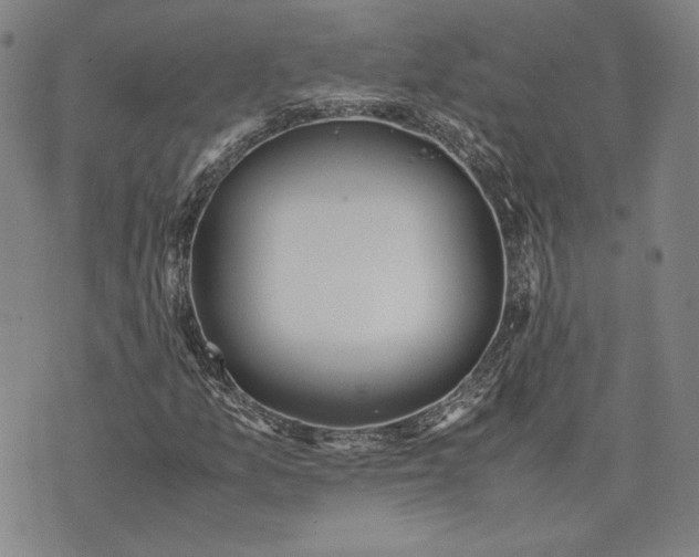 X0000071811157200607141603