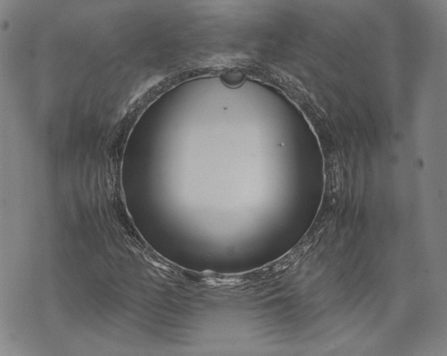 X0000071811158200607141603