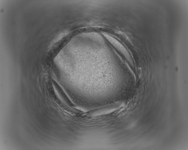 X0000071811159200607141603