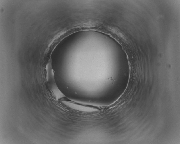 X0000071811160200607141603