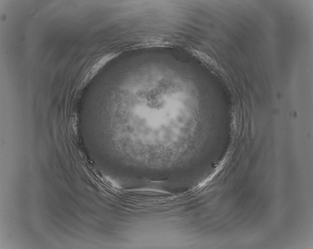 X0000071811161200607141603