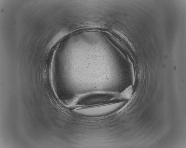 X0000071811163200607141603