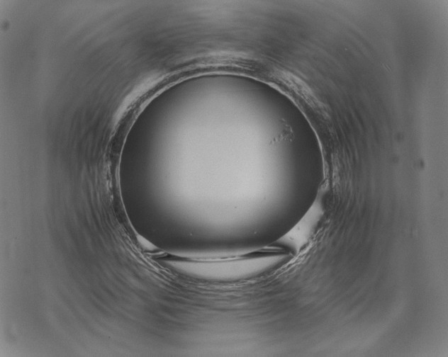 X0000071811164200607141603