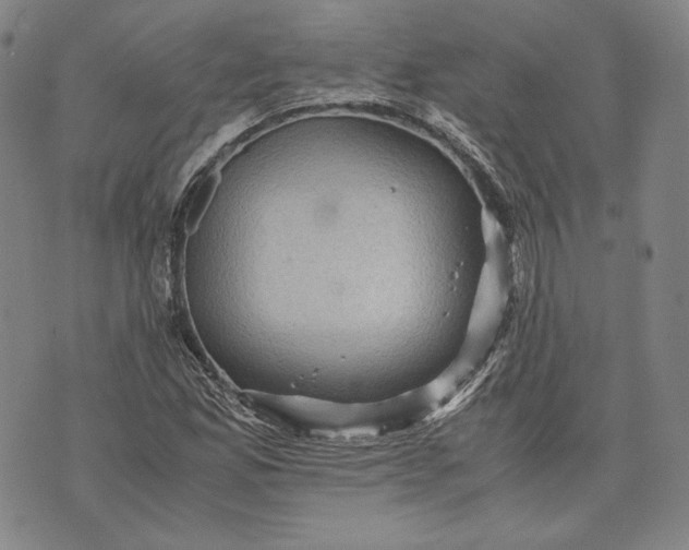 X0000071811165200607141603