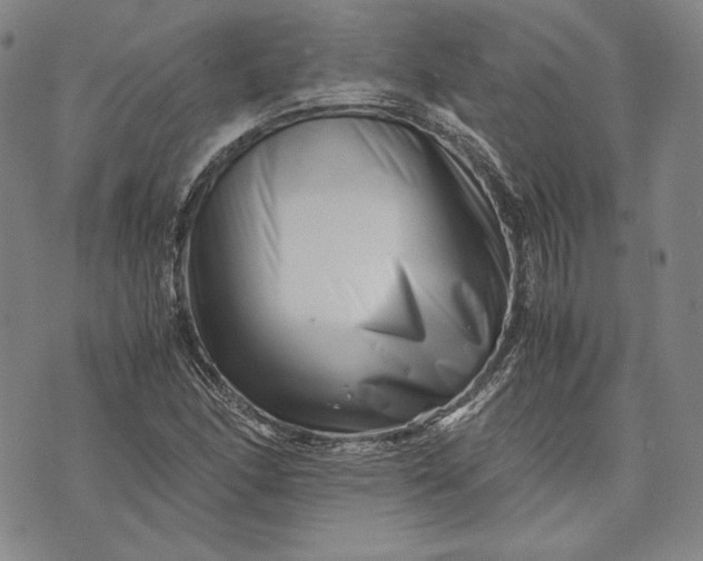 X0000071811166200607141603