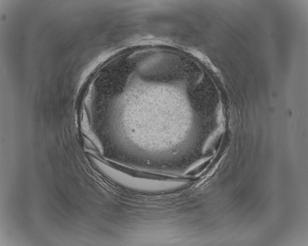 X0000071811167200607141603