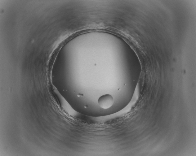 X0000071811168200607141603