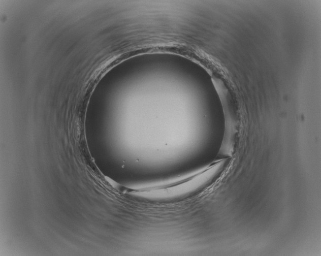 X0000071811169200607141603