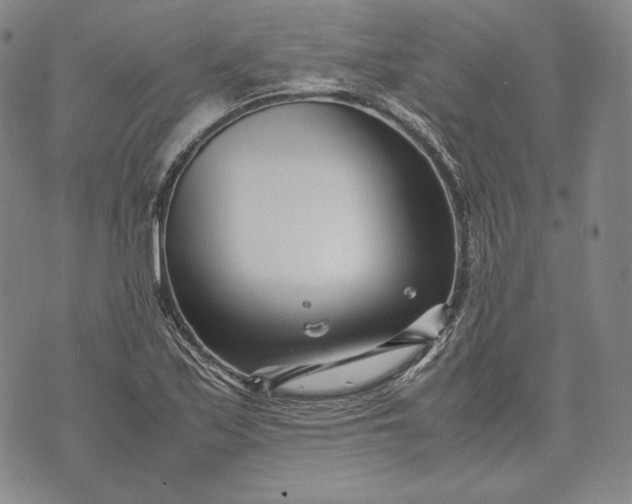 X0000071811171200607141603