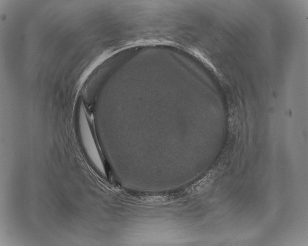 X0000071811173200607141603