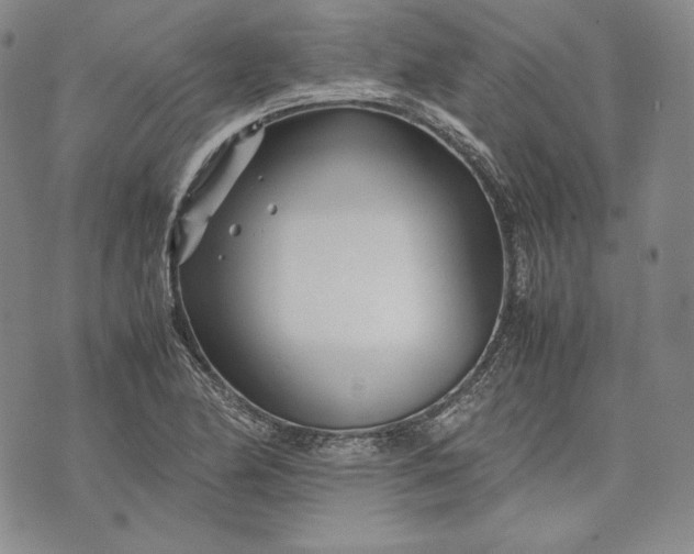 X0000071811174200607141603