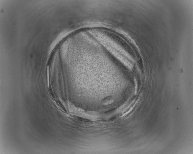 X0000071811175200607141603