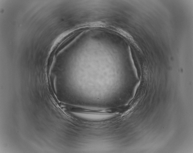 X0000071811176200607141603